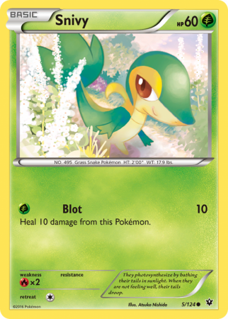 Snivy 5/124 XY Fates Collide