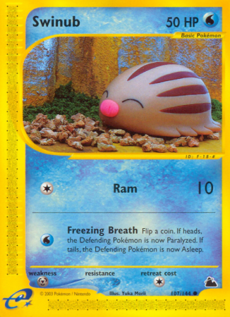 Swinub 107/182 E-Card Skyridge