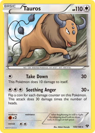 Tauros 100/146 XY XY