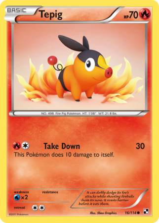 Tepig 16/114 Black & White Black & White