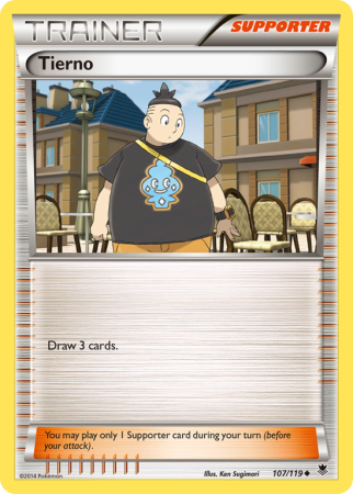 Tierno 107/119 XY Phantom Forces