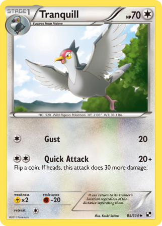 Tranquill 85/114 Black & White Black & White