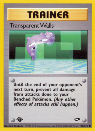 Transparent Walls 125/132 Gym Gym Challenge