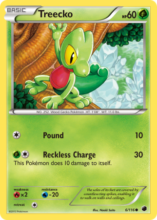 Treecko 6/116 Black & White Plasma Freeze