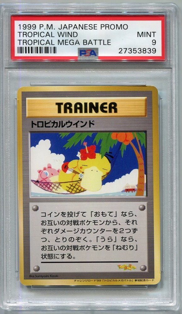 10 Tropical Wind